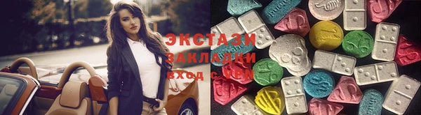 МДПВ Каменка