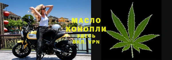 МДПВ Каменка