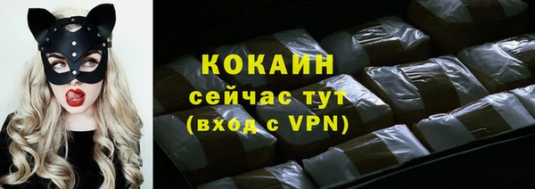 МДПВ Каменка