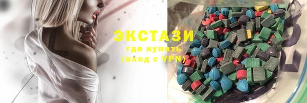 МДПВ Каменка