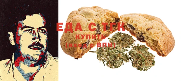 МДПВ Каменка