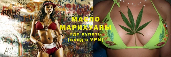 МДПВ Каменка