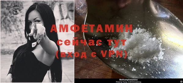 ешки Каменногорск
